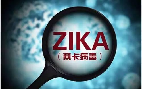 ʹ׼Zika