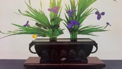 ط廨չ The Exhibition of Ikenobo Ikebana