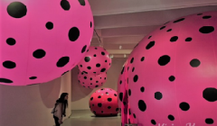 еޡࡱ YAYOI KUSAMAݼչ